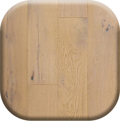 image of the collection